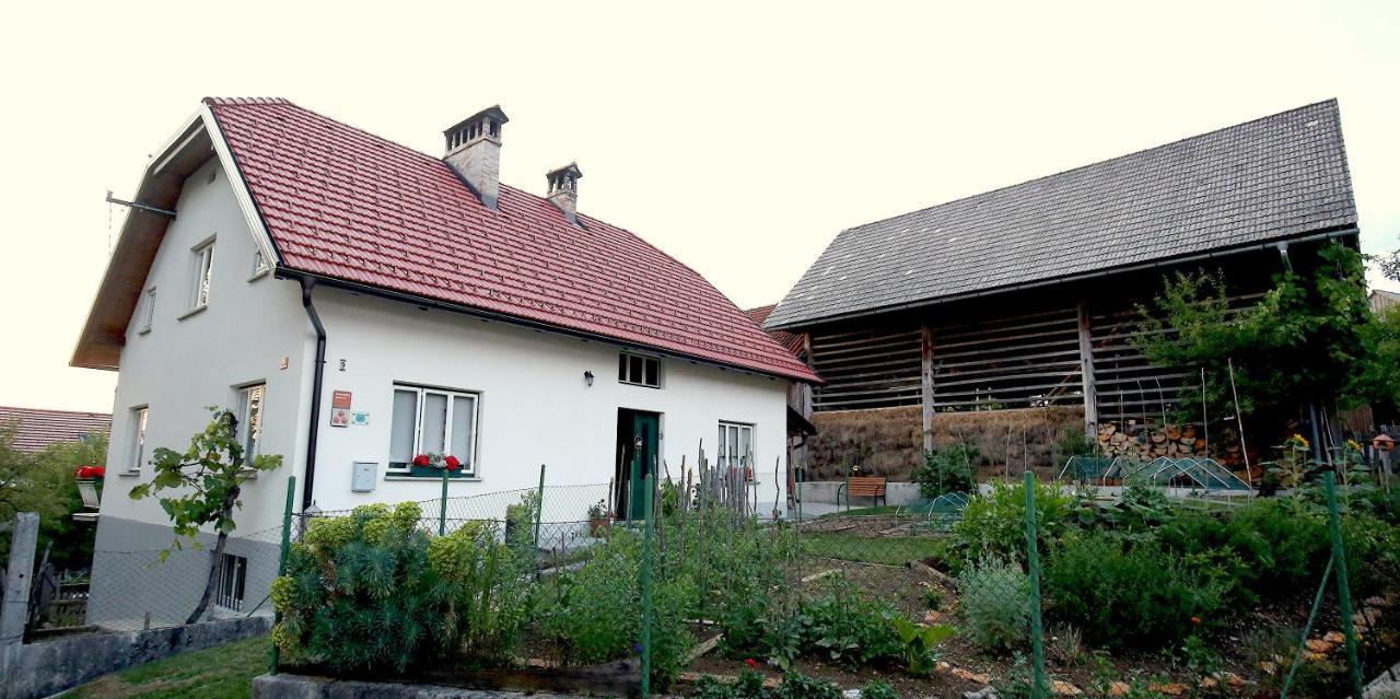 Ostir Holiday Home Cerknica Eksteriør bilde